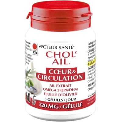 Photo Chol Ail Cœur Circulation Vecteur Santé®