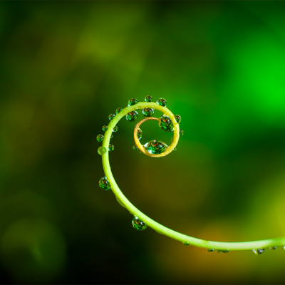 AU RYTHME DES CYCLES