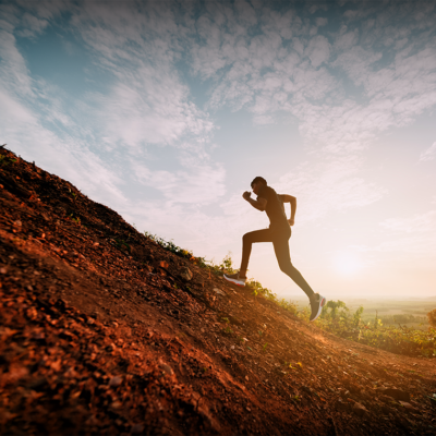 CIRCULATION, CARDIO, MÉMOIRE